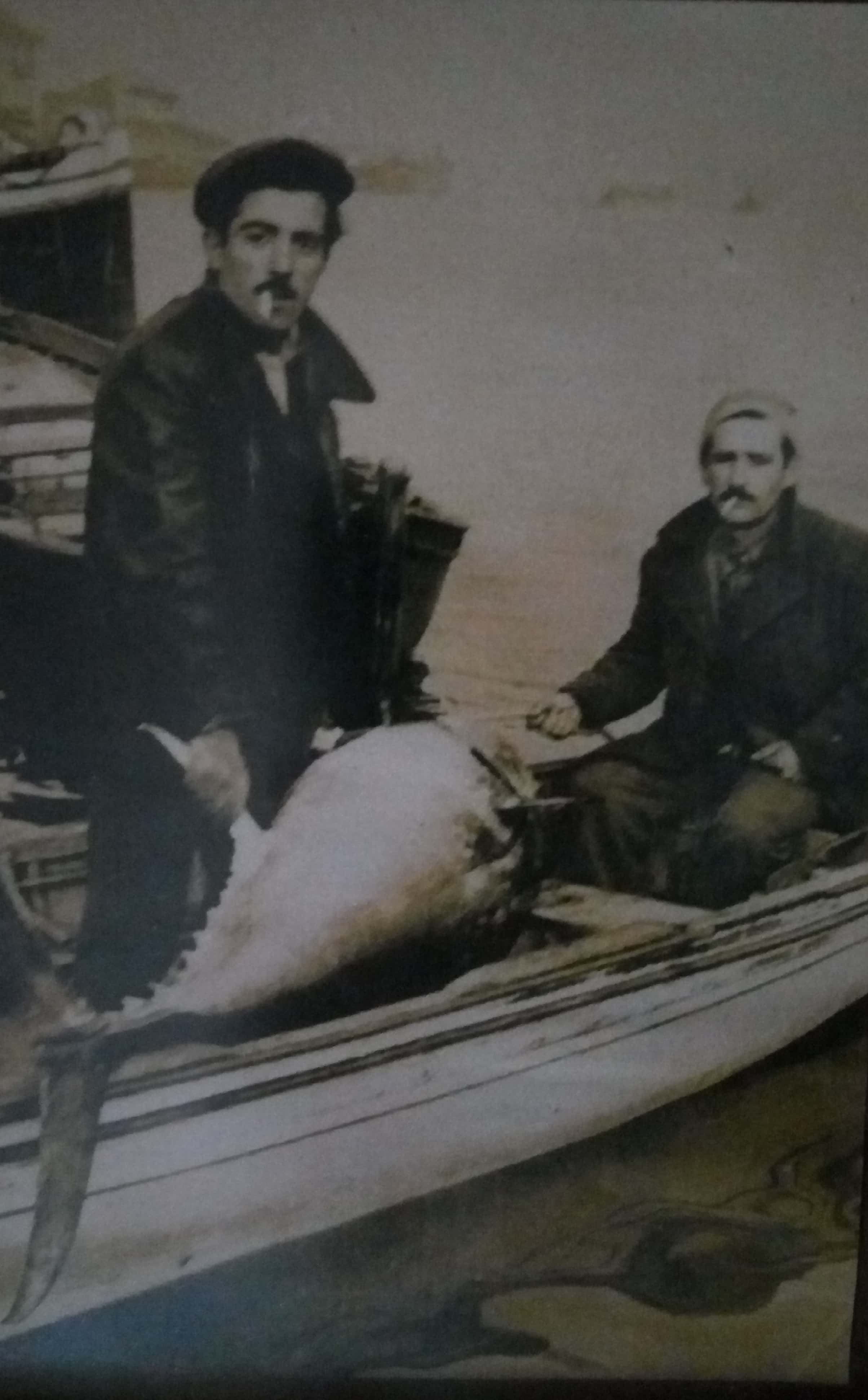 1950'li yıllarda Kasımpaşa'da torik çekenler
