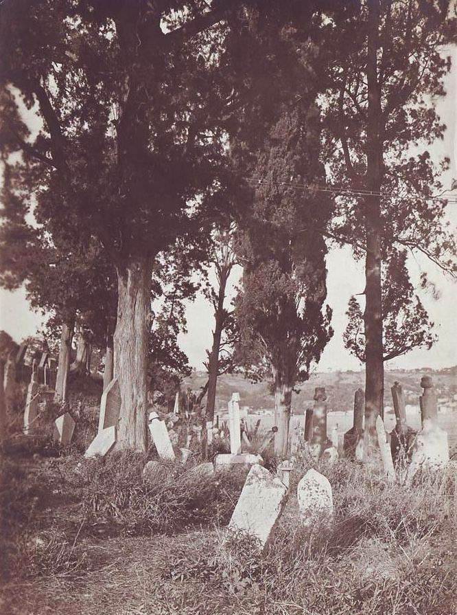 Aşiyan Mezarlığı / 1919