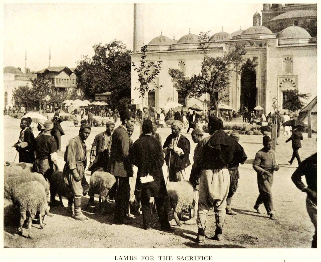 Beyazıt, 1909