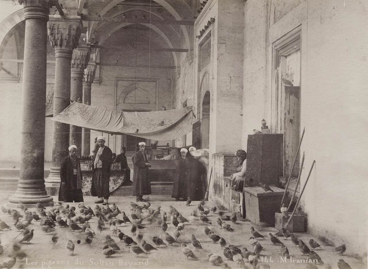 Beyazıt Camii Avlusu M.Iranian fotoğrafı