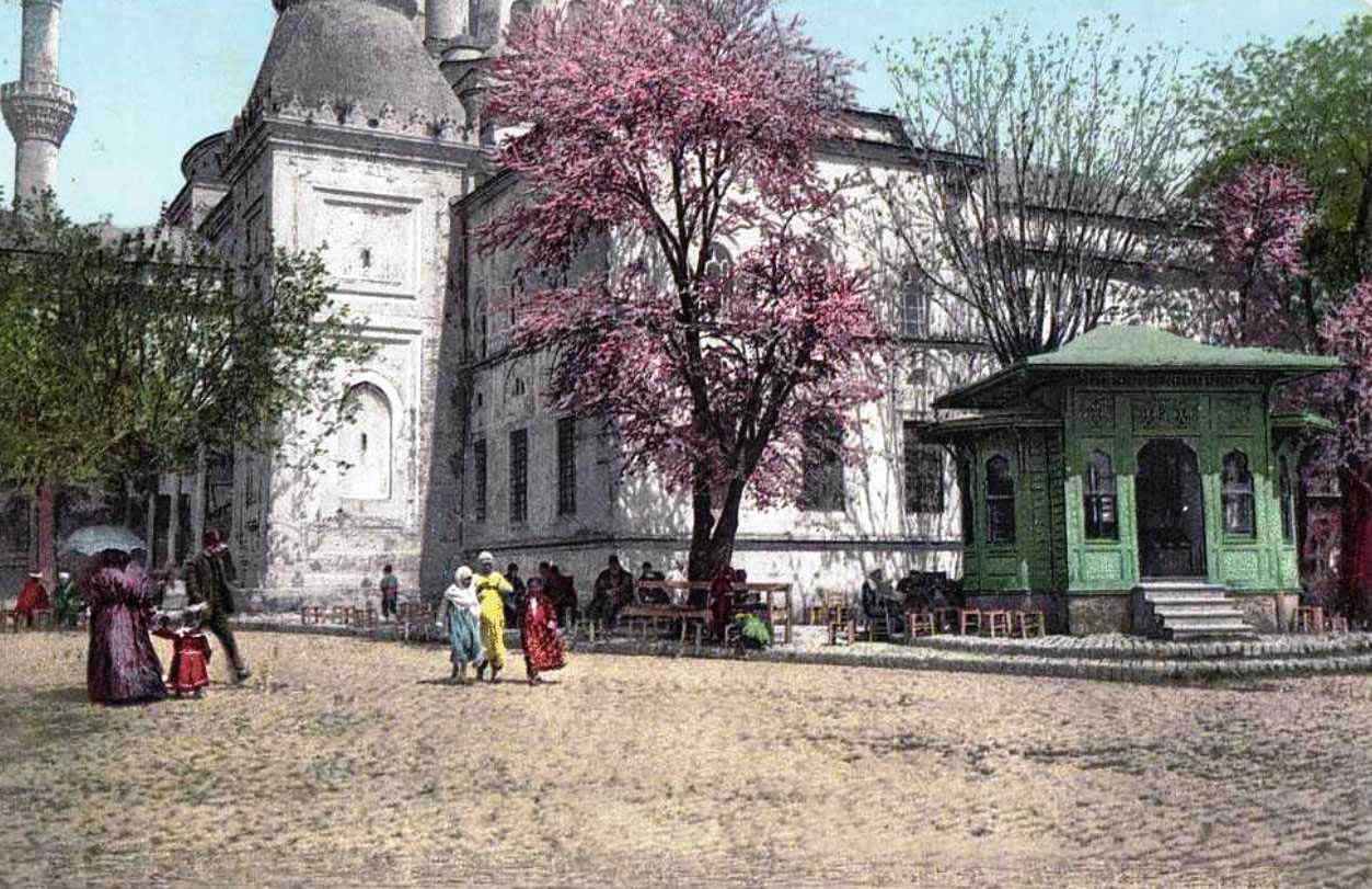 Beyazıt Camii ve Erguvan / Küllük Kahvesi