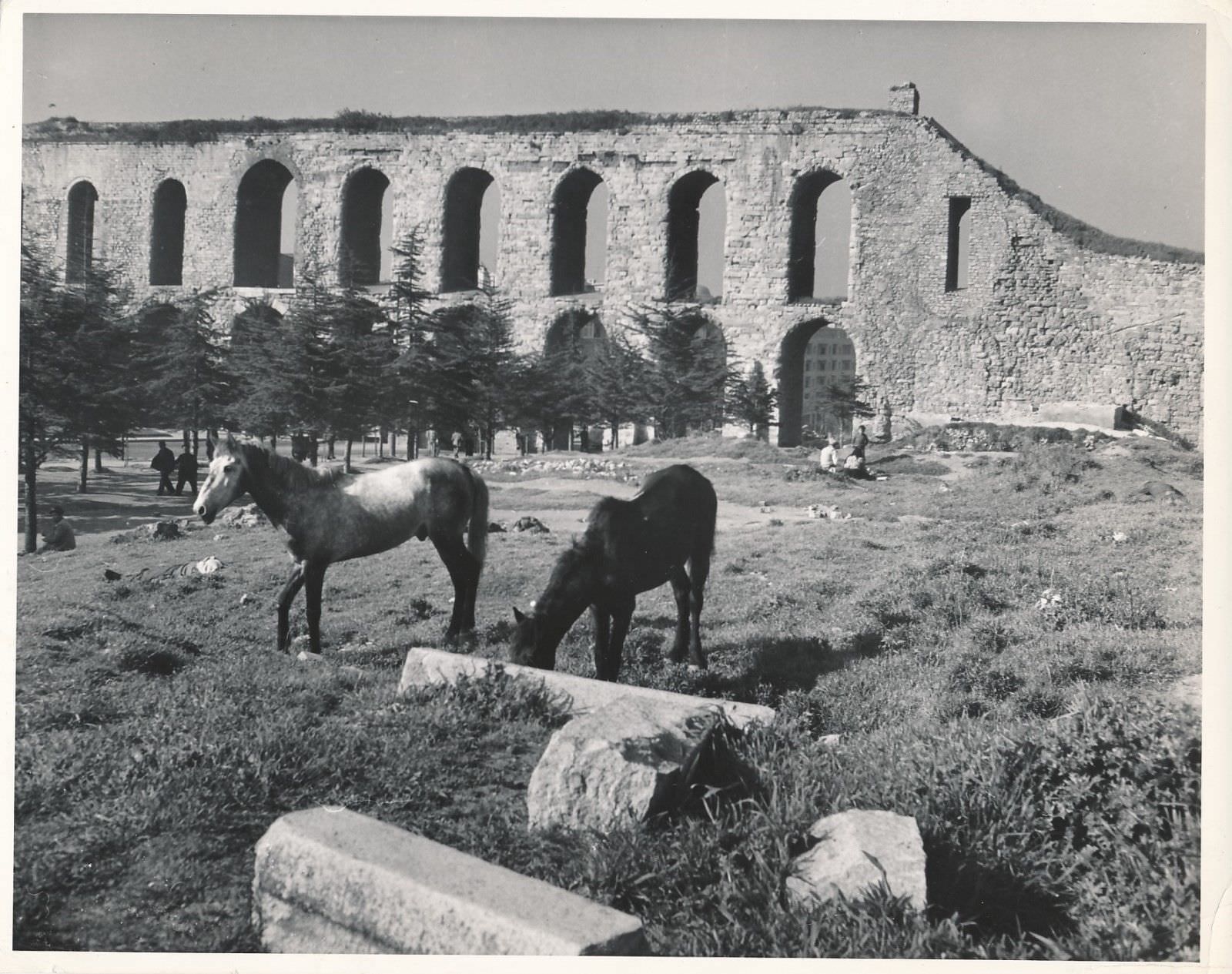 Bozdoğan Kemeri ve Atlar / 1940