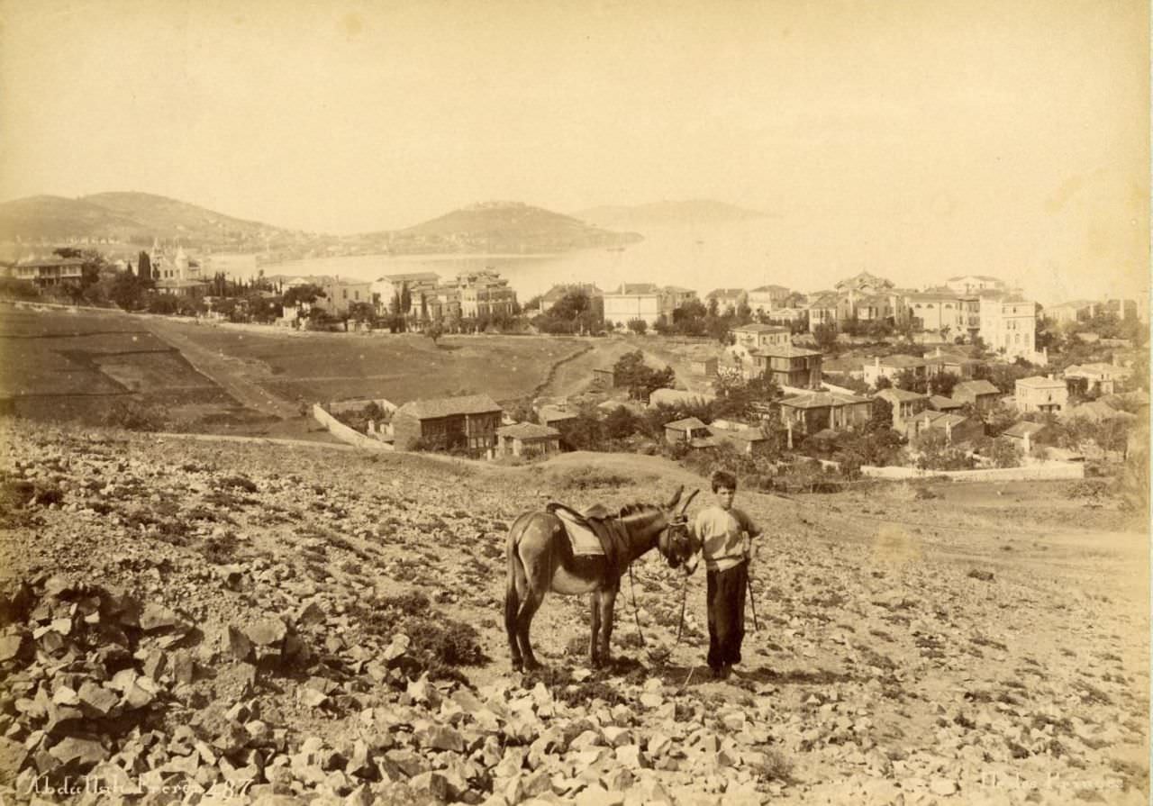 Büyükada / 1880s Abdullah Fréres fotoğrafı