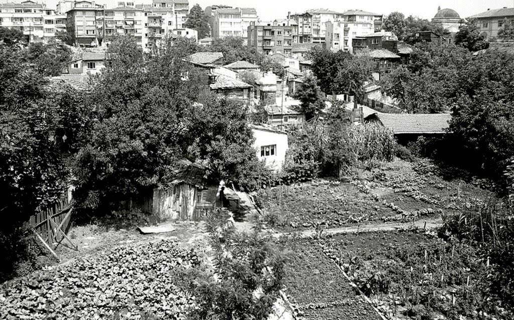 Çukurbostan, 1980 yılı