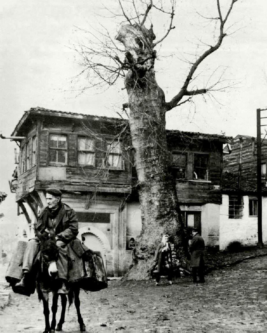 Eski Sulukule: Çınarlı Çeşme / 1950′ler 