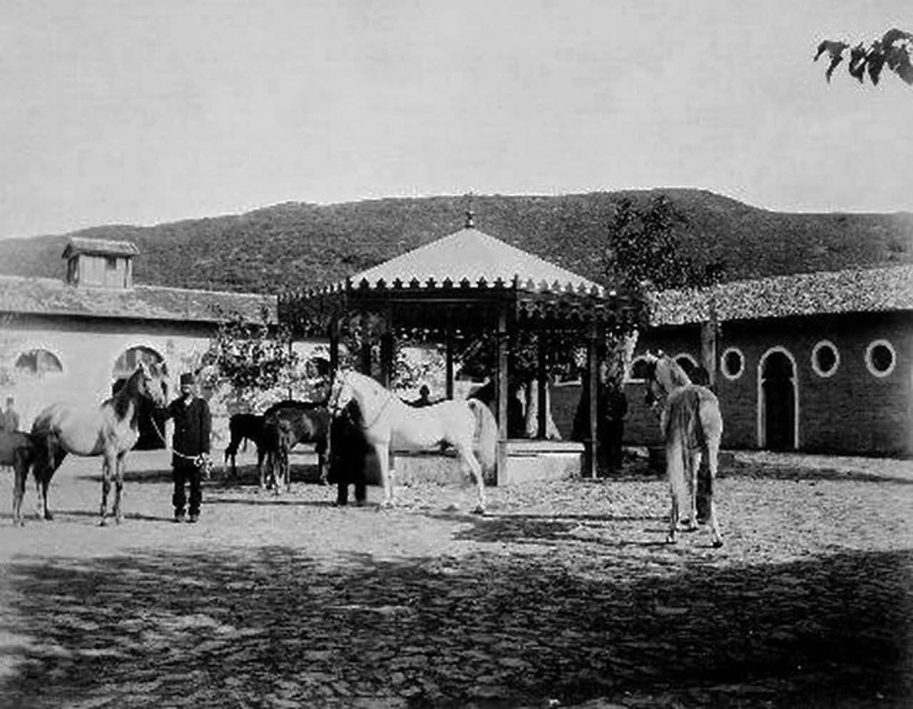 Kağıthane Harası
