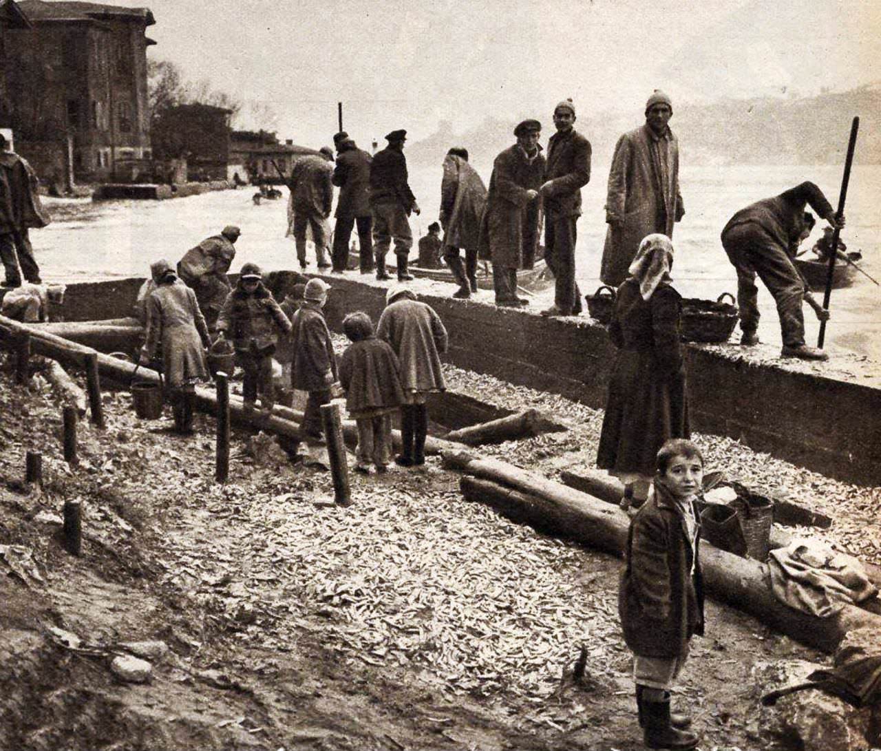 Kanlıca / 1957