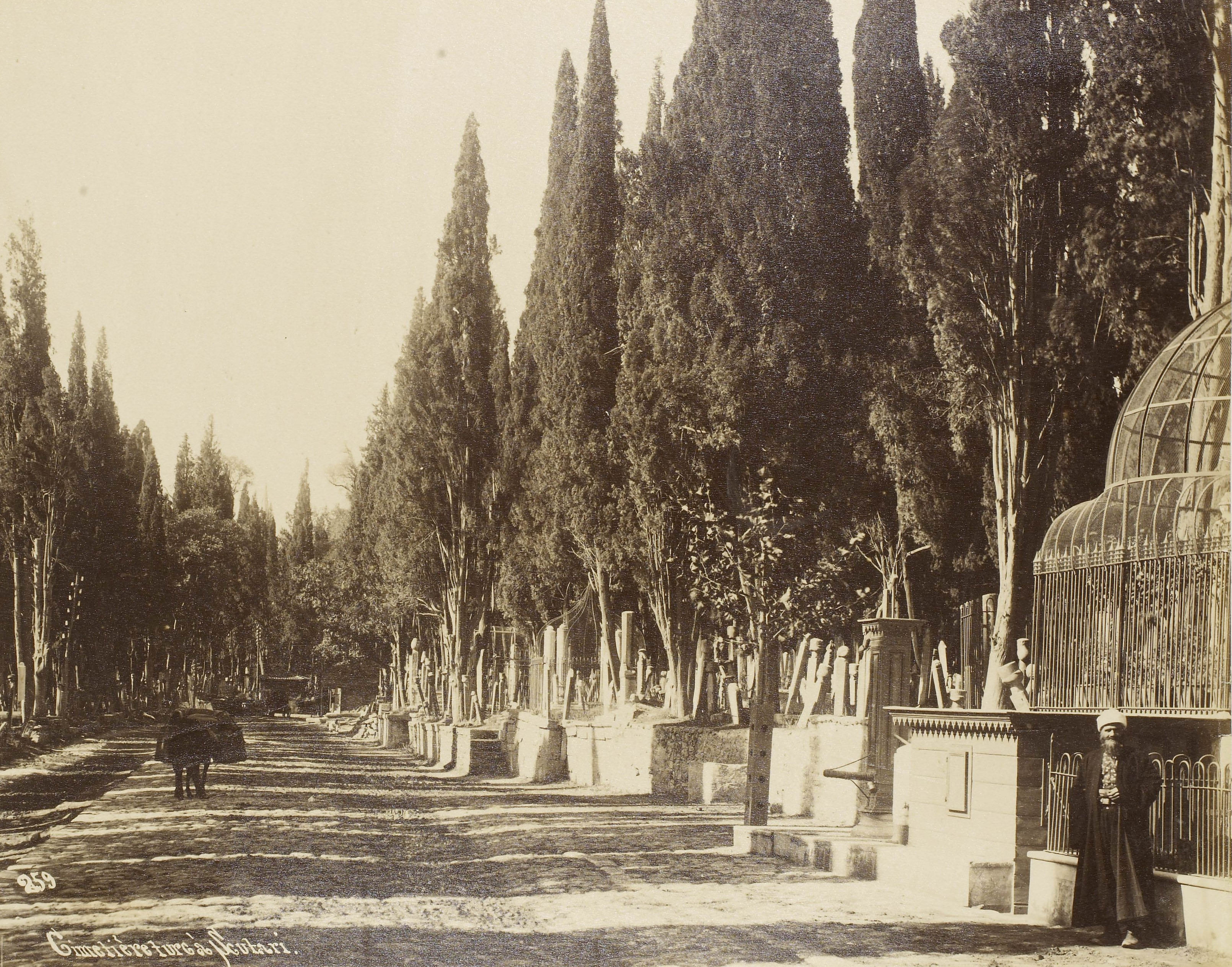 Karacaahmet / Sébah & Joaillier Fotoğrafı