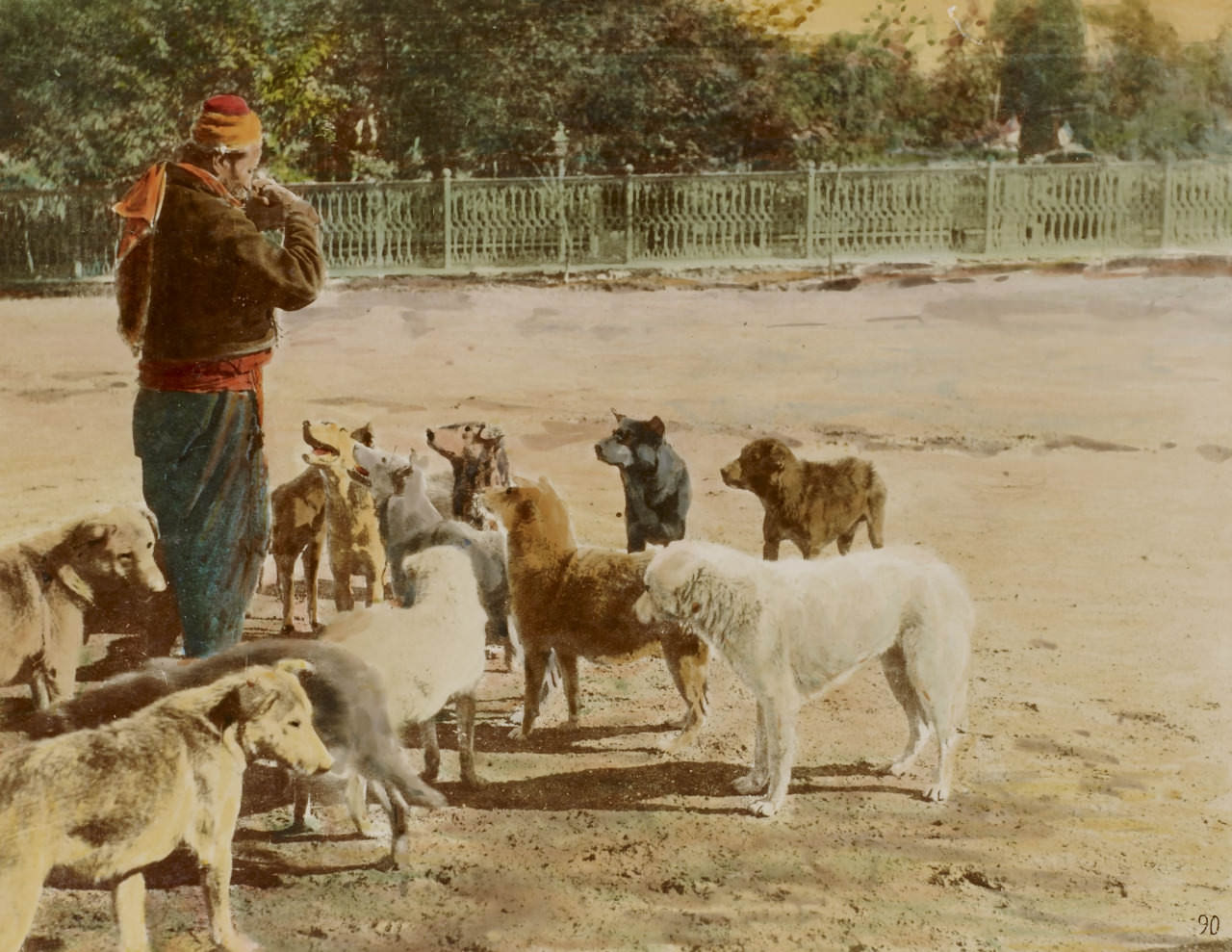 Köpekler Renklendirme Abdullah Fréres Fotoğrafı