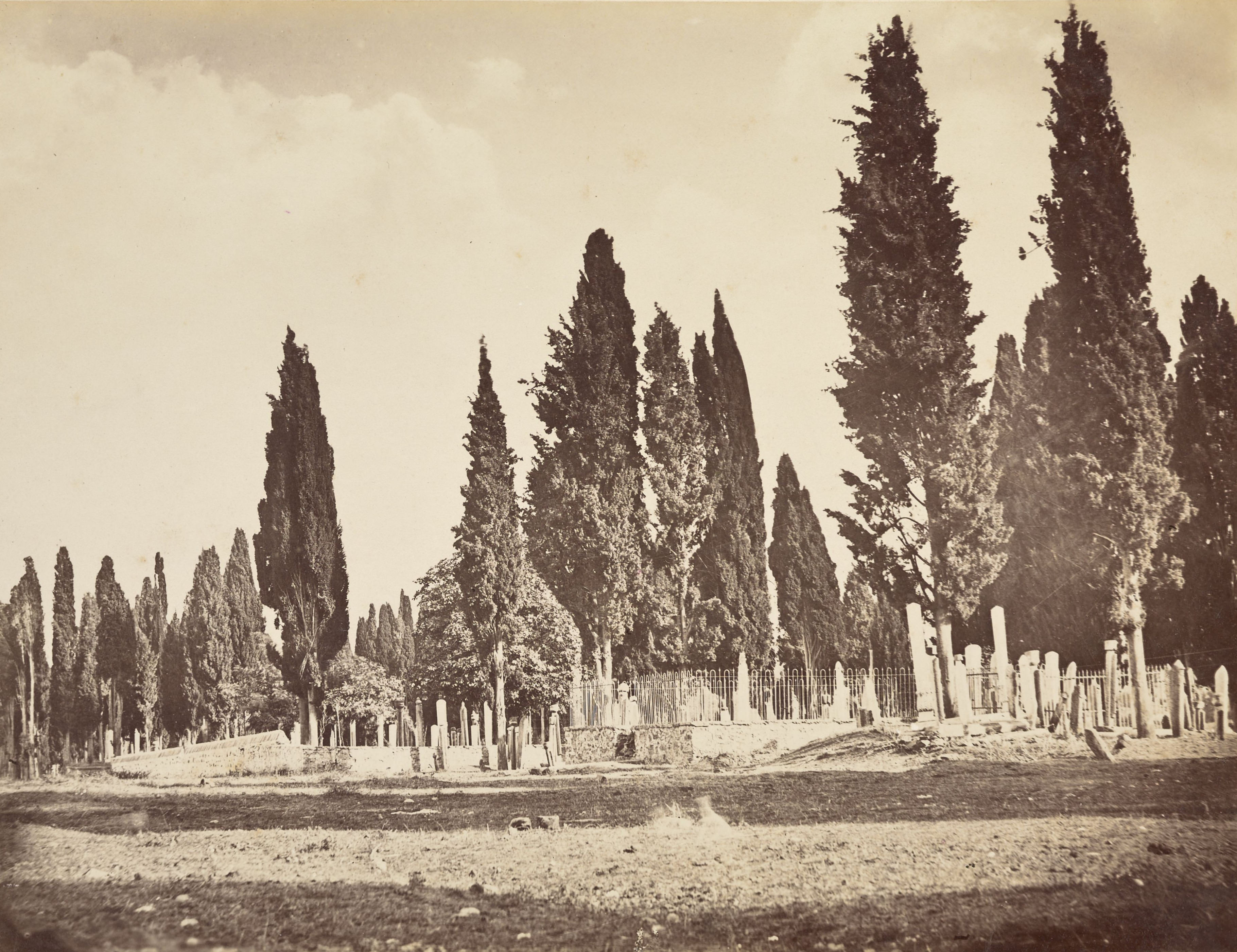 Mezarlık / Abdullah Fréres / 1865