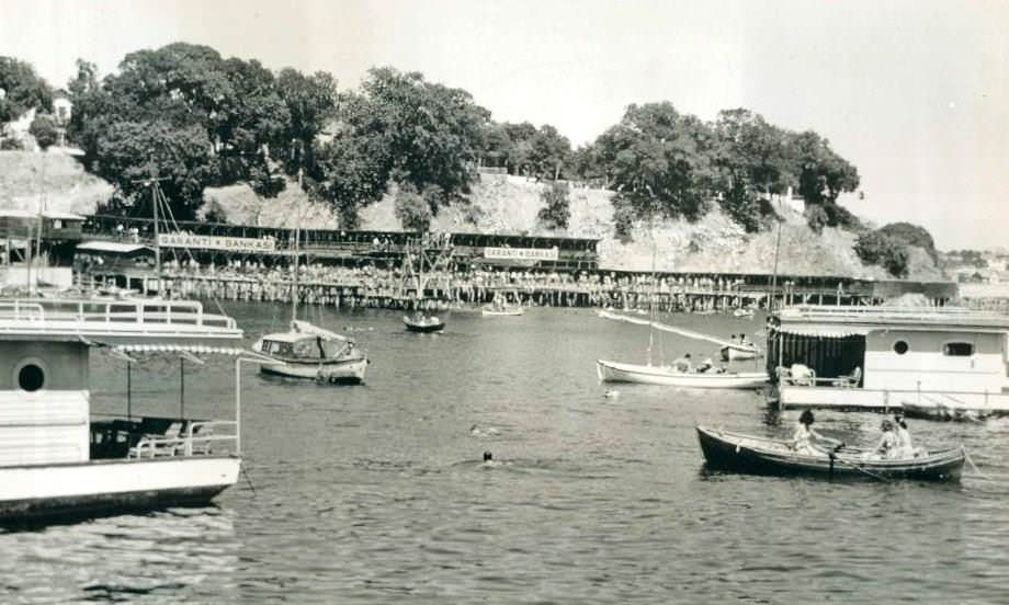 Moda, 1966 yılı