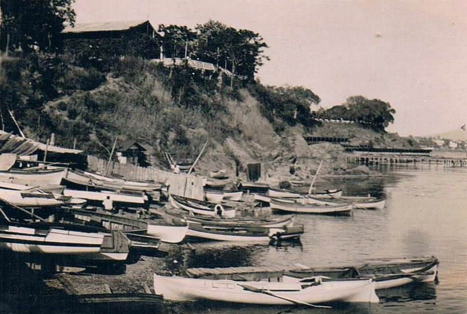 Moda