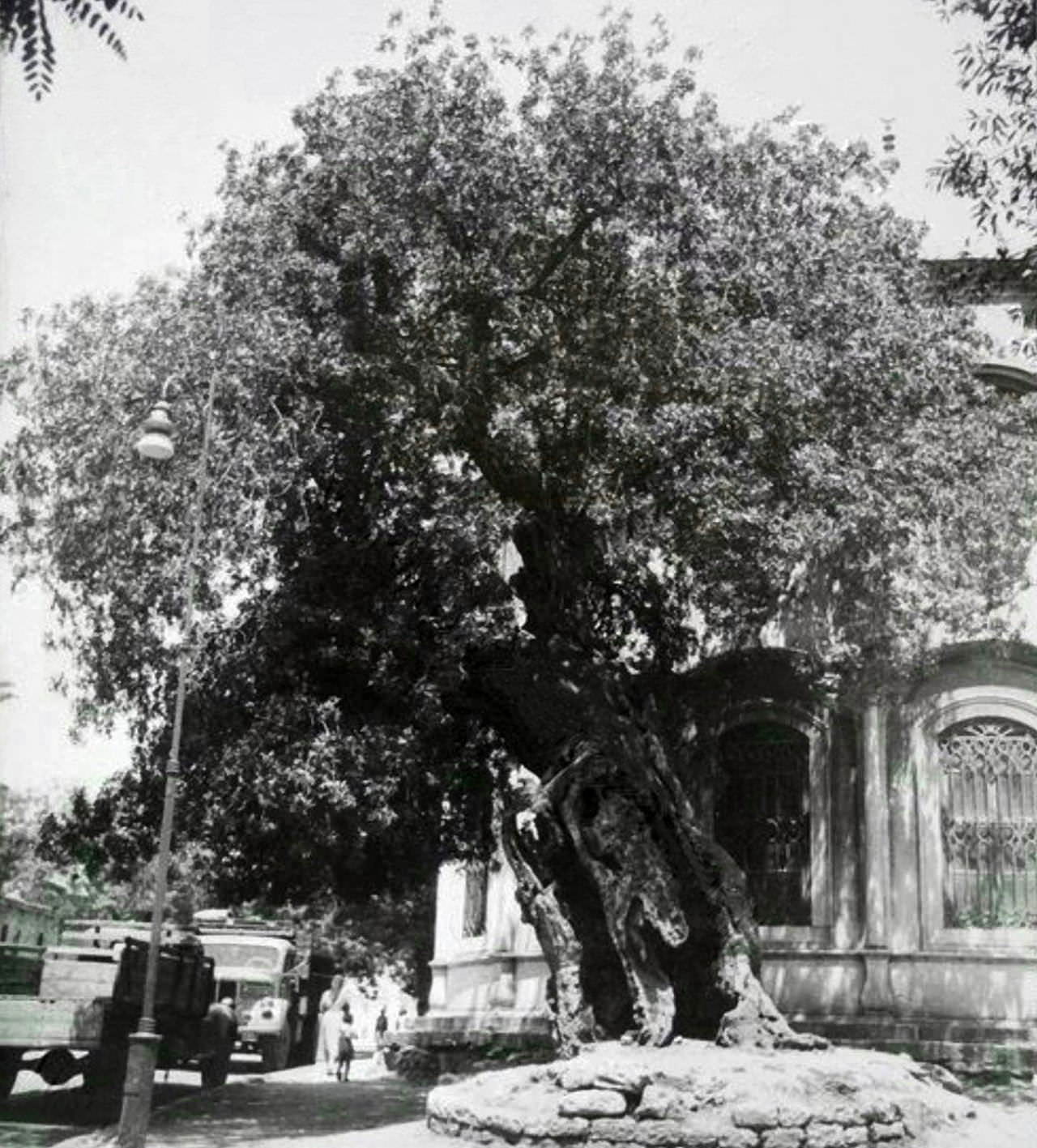 Nakşidil Sultan Külliyesi / Fatih