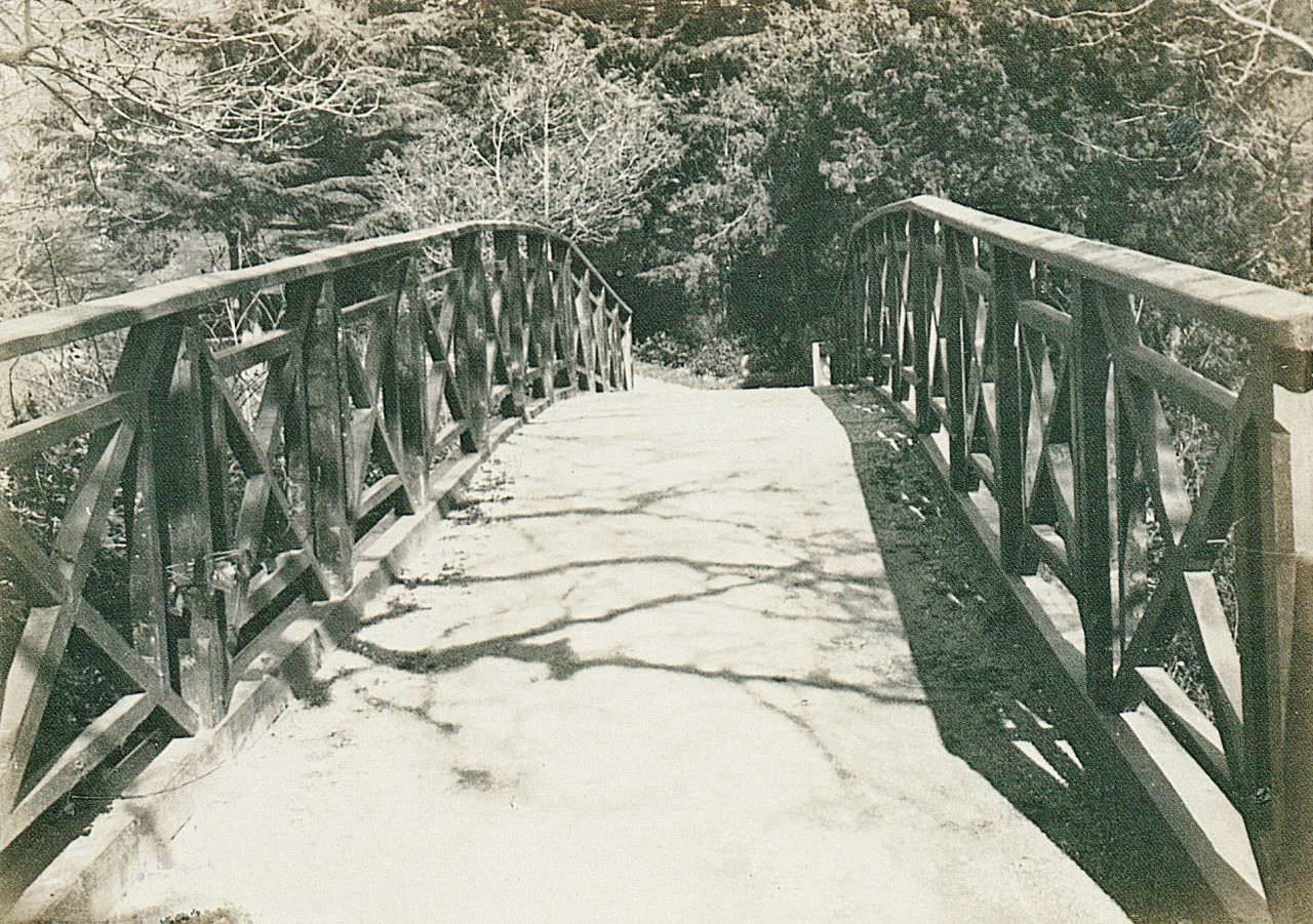 Yıldız Parkı / 1905