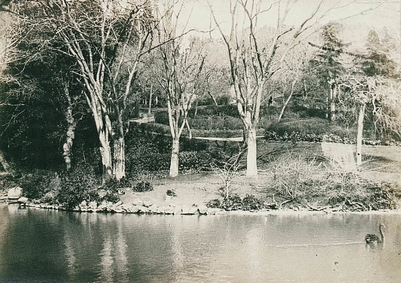Yıldız Parkı / 1905