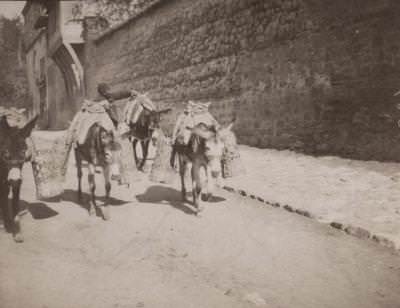 1890-92 yıllarında İstanbul Sokaklarından İnsan Manzaraları
