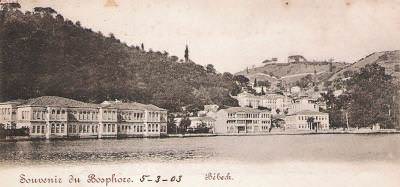 Bebek