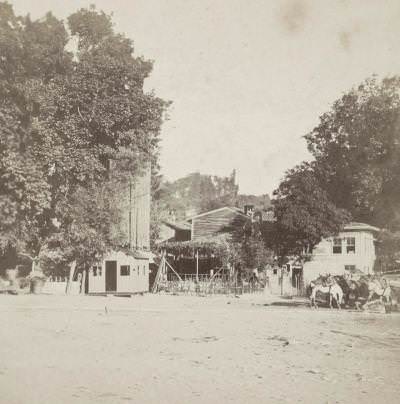 Beykoz Sophus Williams & E. Linde & Co. 1860 - 1890