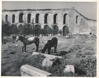 Bozdoğan Kemeri ve Atlar / 1940