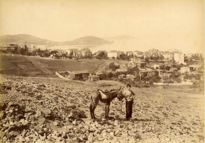 Büyükada / 1880s Abdullah Fréres fotoğrafı