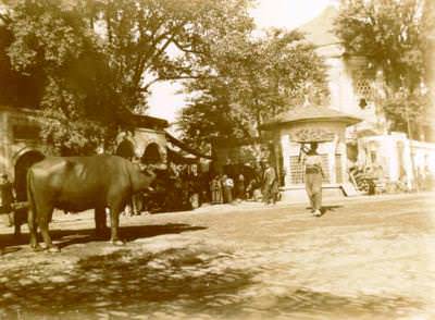 Çarşıkapı