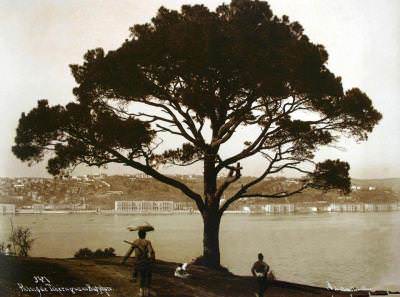 Çırağan Sarayı ve Boğaziçi Sébah & Joaillier fotoğrafı