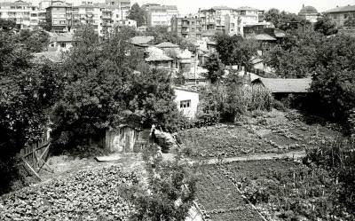 Çukurbostan, 1980 yılı