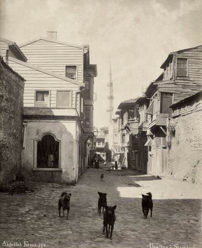 Eski İstanbul / Sultanahmet / Abdullah Fréres fotoğrafı
