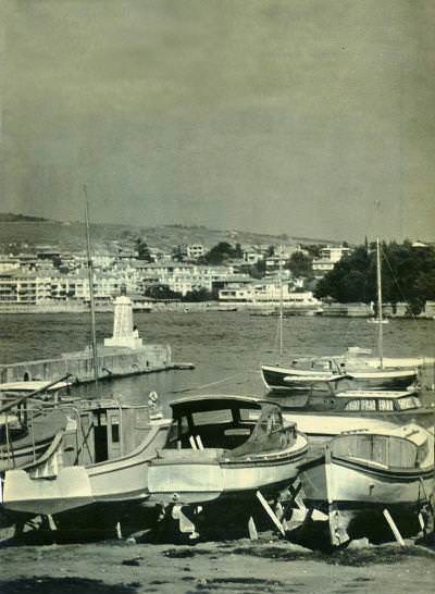 Fenerbahçe / 1966