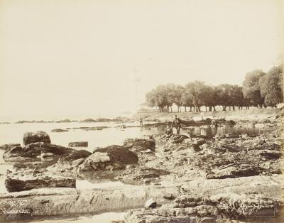 Fenerbahçe / Sébah & Joaillier Fotoğrafı