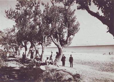 Florya / 1919