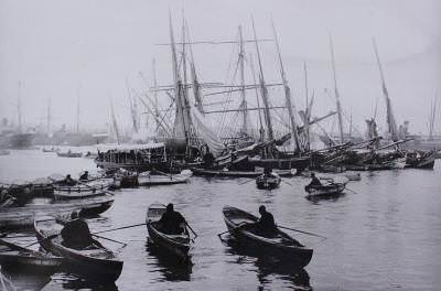 Haliç / 1891