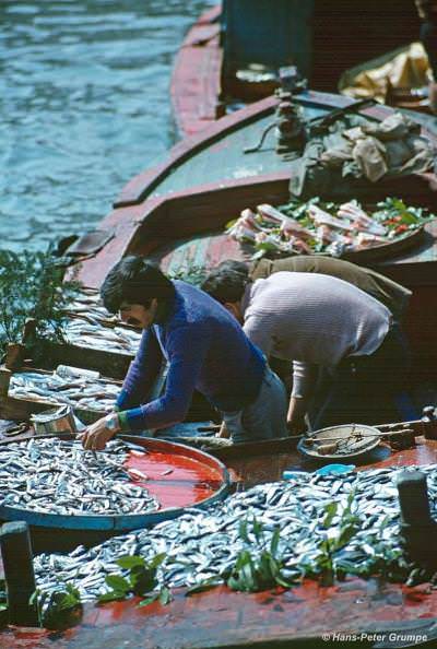 Hans Peter Grumpe'den Balıkçı Kareleri, 1978