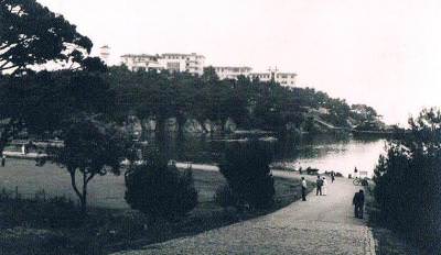 Heybeliada Çam Limanı