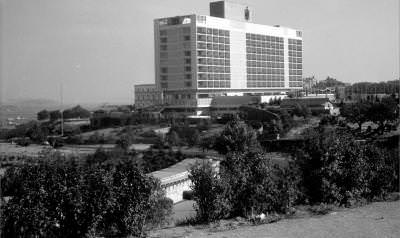 Hilton Oteli,1956