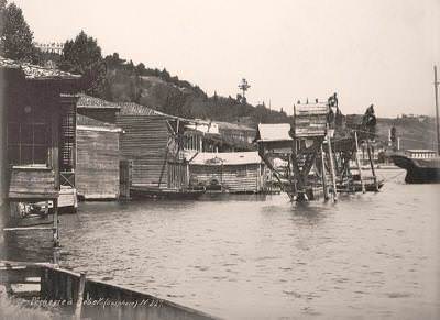 Küçük Bebek