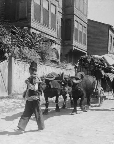 Manda Arabası 1900'ler