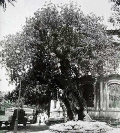 Nakşidil Sultan Külliyesi / Fatih