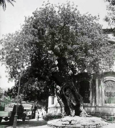 Nakşidil Sultan Türbesi