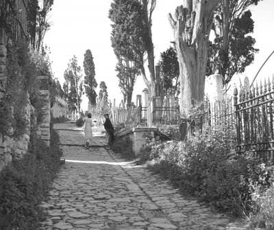 Piyerloti