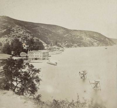 Rumelikavağı Sophus Williams & E. Linde & Co. 1860 - 1890