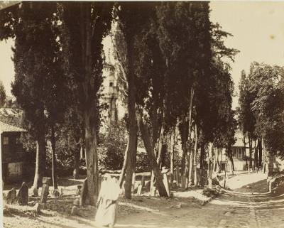 Türk Mezarlığı / Sébah ve Joaillier Fotoğrafı