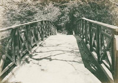 Yıldız Parkı / 1905