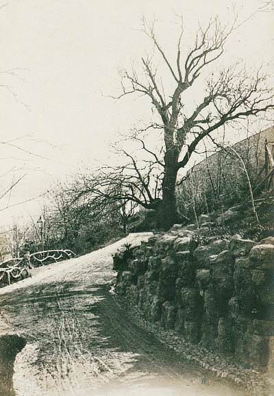 Yıldız Parkı / 1905