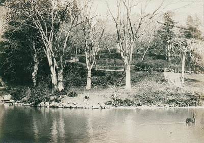 Yıldız Parkı / 1905