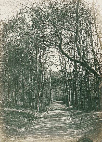 Yıldız Parkı / 1905