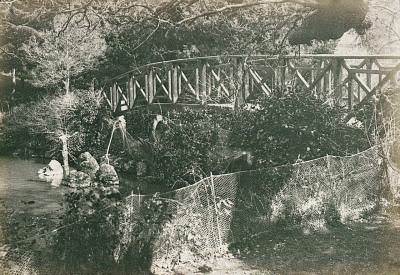 Yıldız Parkı / 1905