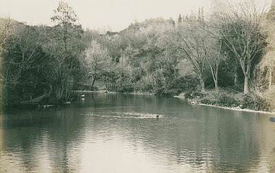 Yıldız Parkı / 1905