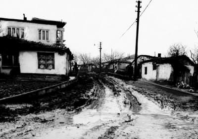 Zeytinburnu
